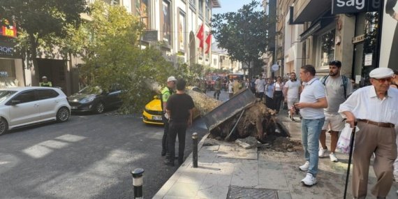Sislide-agac-devrildi-Yol-trafige-kapandi-featured