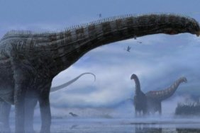 Afrika039da-210-milyon-yillik-yeni-bir-dinozor-turu-kesfedildi-featured