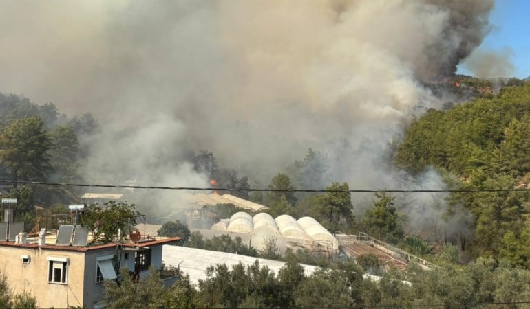 Antalya'da orman yangını