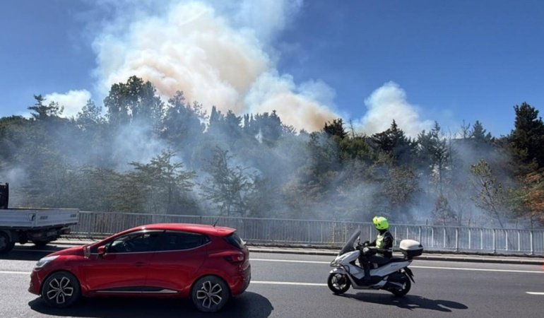 İstanbul'da otluk alanda çıkan yangın söndürüldü