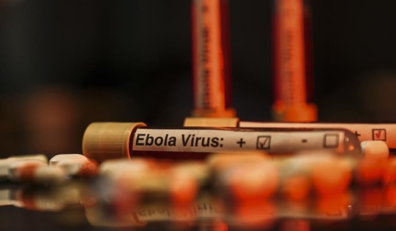 Kongo Demokratik Cumhuriyetinde Ebola salgınında vaka sayısı 7 bini aştı