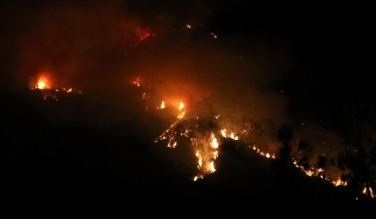 WMO: Orman yangınları ve sıcaklar, küresel hava kalitesini iyileştirme çabalarını baltalama riski taşıyor
