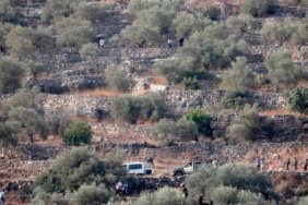 Isgalci-Israilliler-Bati-Seria039da-Filistinlilerin-hasat-ettigi-zeytinleri-caldi-featured