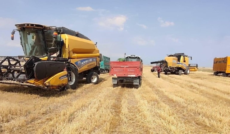 Türkiye'nin tarım ürünleri ihracatı tüm zamanların en yüksek seviyesinde
